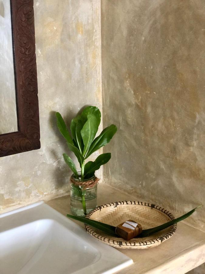 Mlango Paje House Bed and Breakfast Εξωτερικό φωτογραφία
